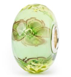 Zeige Details für Zitronenblüten TGLBE-30080 Bild von Zitronenblüten TGLBE-30080