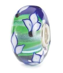 Zeige Details für  Blaue Iris Blüte TGLBE-20384 Bild von  Blaue Iris Blüte TGLBE-20384