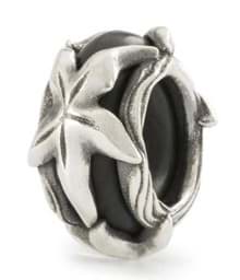 Trollbeads Seestern Spacer TAGBE-20282 Trollbeads neue Kollektion 2024