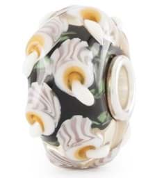 Zeige Details für Pilze der Vielseitigkeit TGLBE-20423 Bild von Pilze der Vielseitigkeit TGLBE-20423