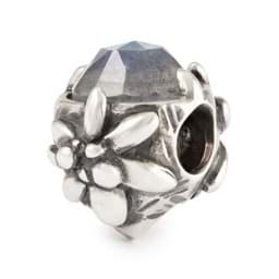 Trollbeads Alpenstern Edelweiß - People's Bead 2025 TAGBE-00315 Trollbeads People's Bead 2025