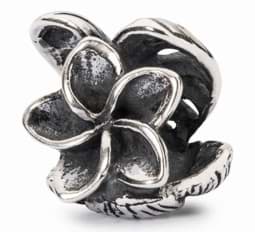 Zeige Details für Trollbeads  Tropische Reisen  People´s 2015  TAGBE-20118 Bild von Trollbeads  Tropische Reisen  People´s 2015  TAGBE-20118