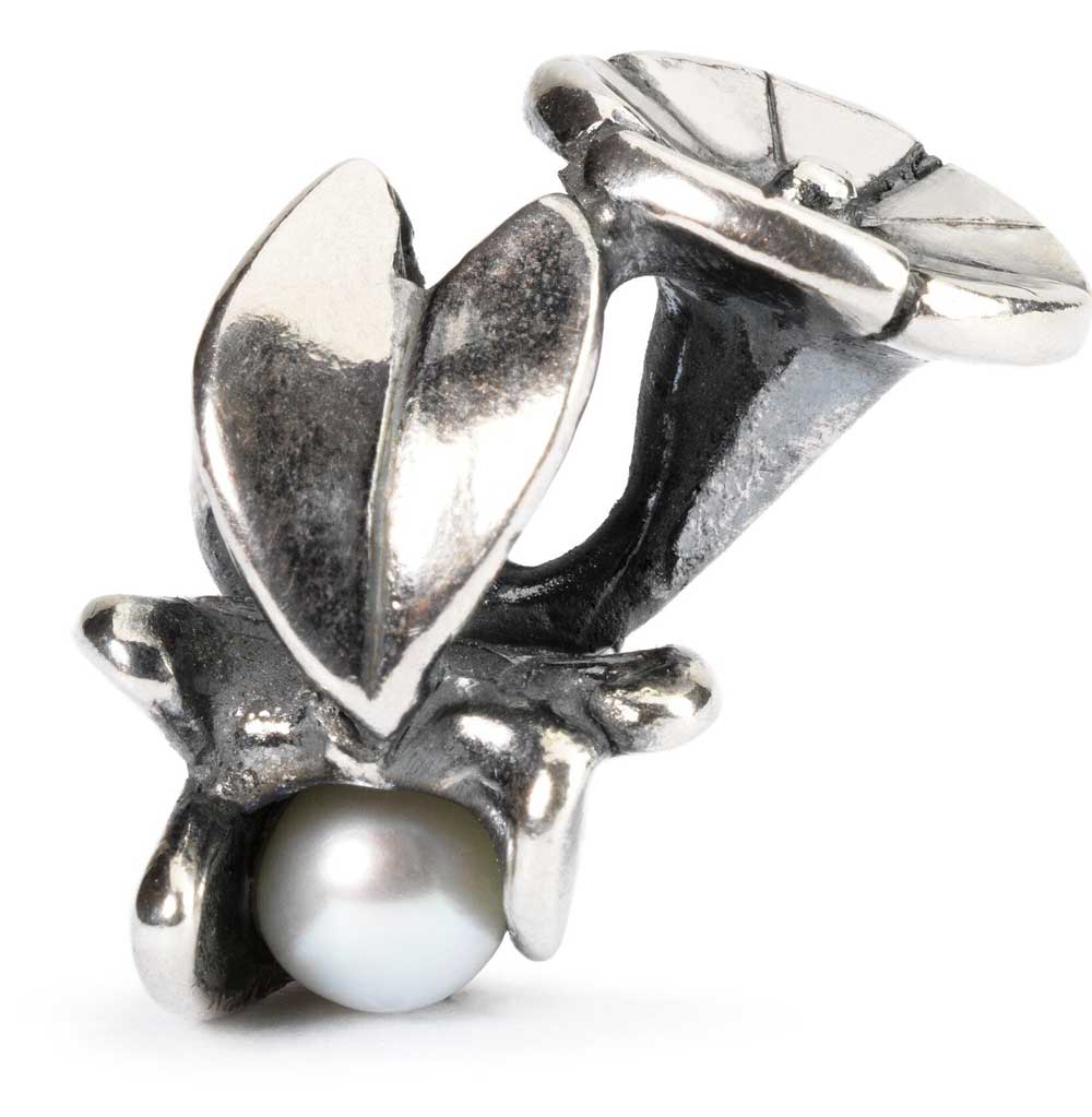 Bild von Trollbeads Bindekraut September TAGBE-00035    