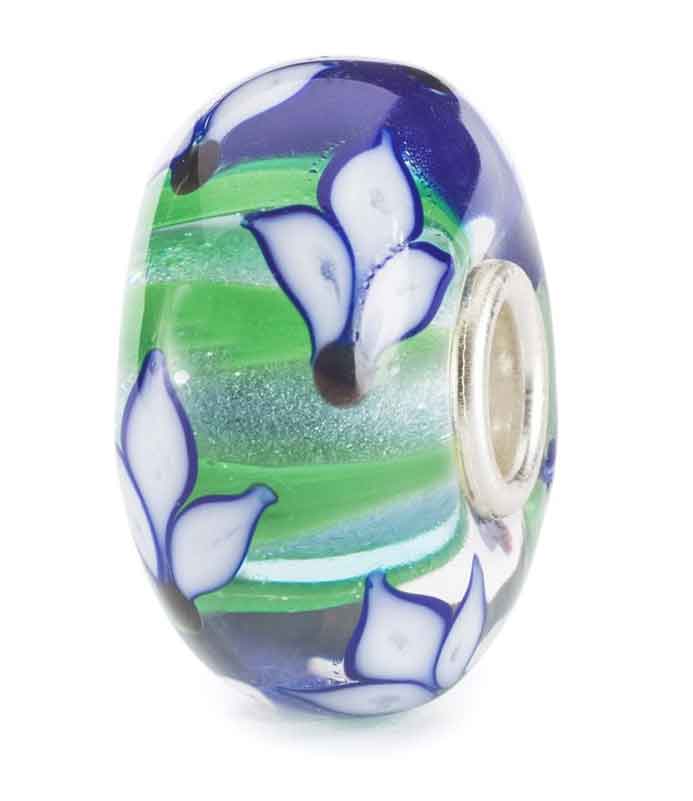 Bild von  Blaue Iris Blüte TGLBE-20384