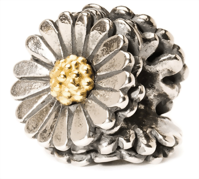 Bild von Gänseblümchen  TAGBE-00081  