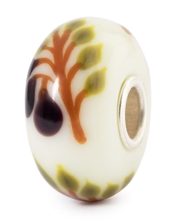 Olive - Limitierte Edition TGLBE-20484