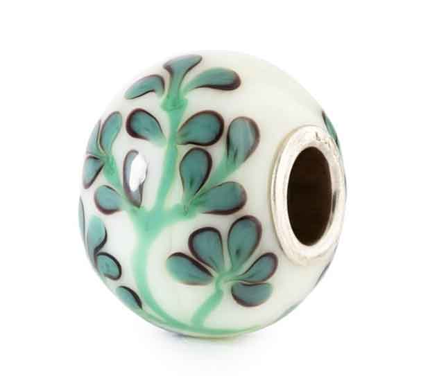 Wilder Oregano TGLBE-30216