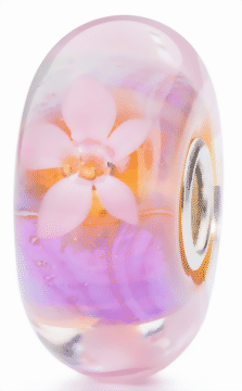 Bild von Seeanemone TGLBE-10200  